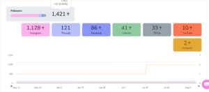 kannan-social-media-case-study-followers